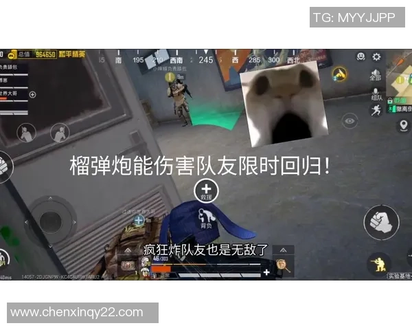 和平精英专题：聚焦BLG的战术