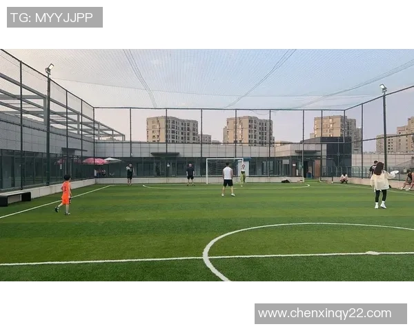 数据分析：杭州飞盘队的战术表现