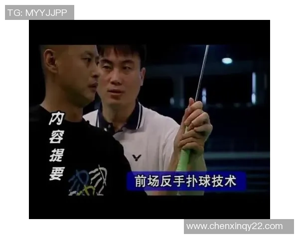 羽毛球评论：南京羽毛球队的区域防守得失